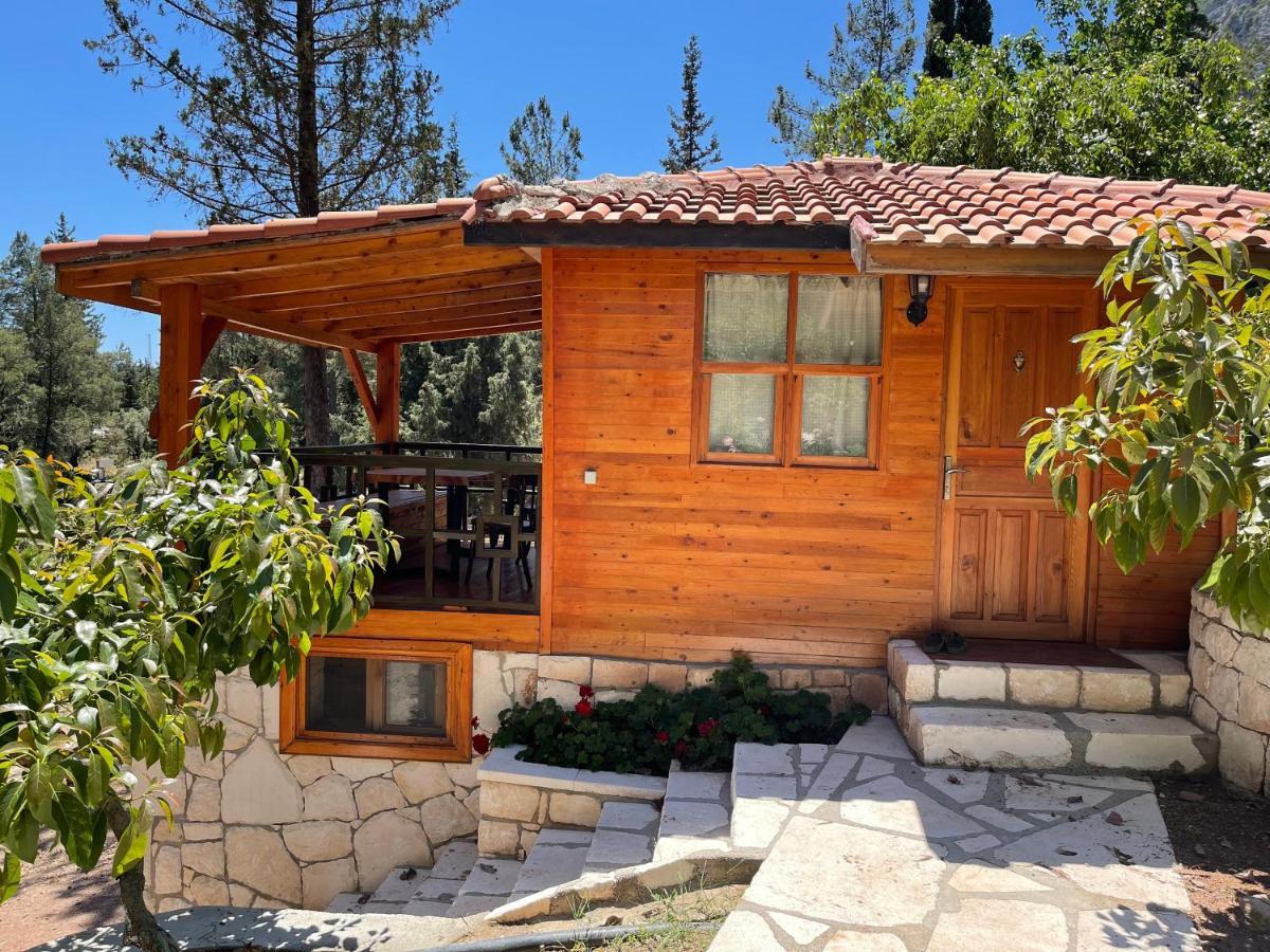 Trinitys Forest Bungalows Kemer Ngoại thất bức ảnh