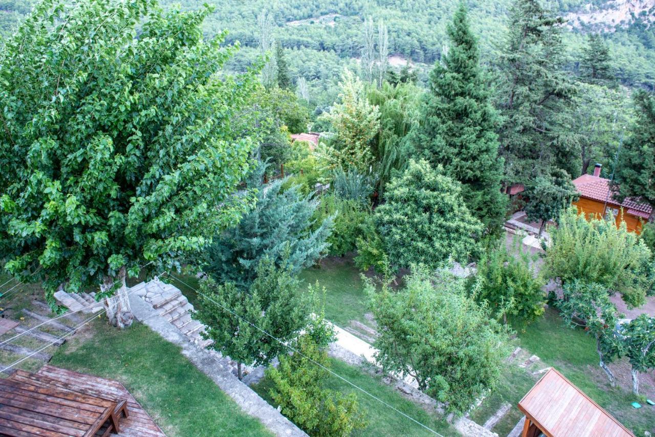 Trinitys Forest Bungalows Kemer Ngoại thất bức ảnh
