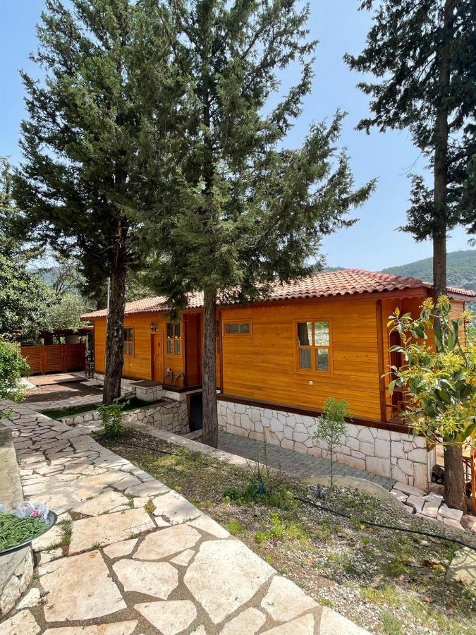 Trinitys Forest Bungalows Kemer Ngoại thất bức ảnh
