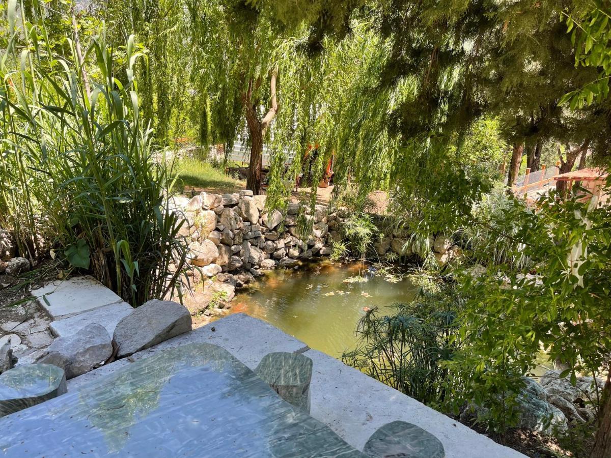 Trinitys Forest Bungalows Kemer Ngoại thất bức ảnh