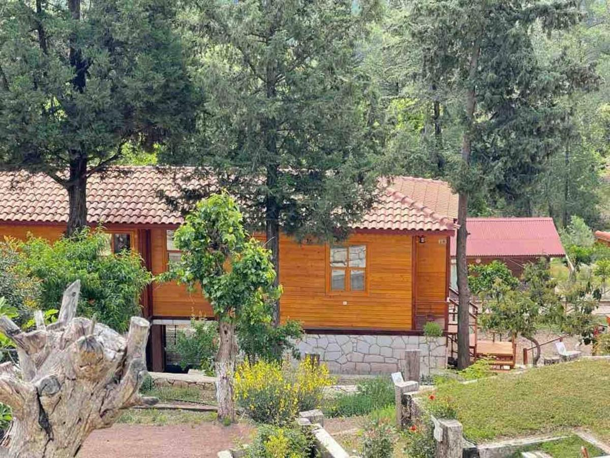 Trinitys Forest Bungalows Kemer Ngoại thất bức ảnh