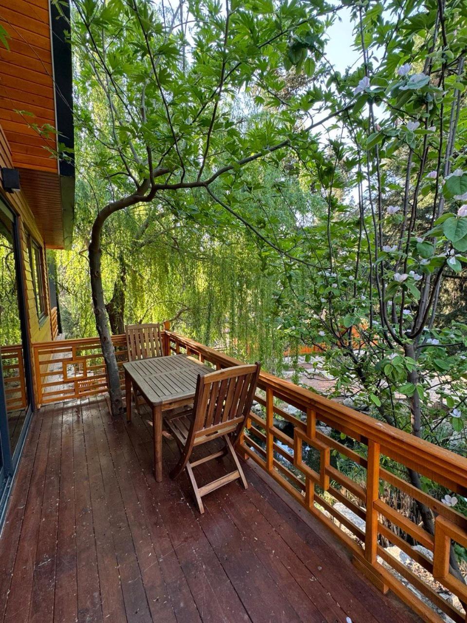 Trinitys Forest Bungalows Kemer Ngoại thất bức ảnh